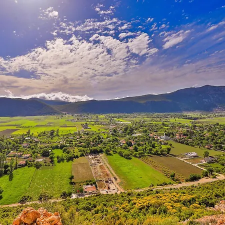 Villa Barley *